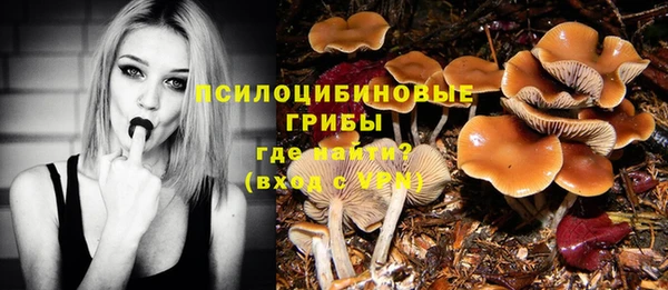ECSTASY Армянск