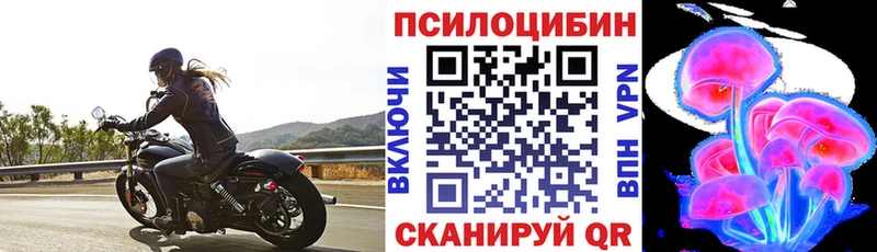 Галлюциногенные грибы Psilocybine cubensis  Тайга 